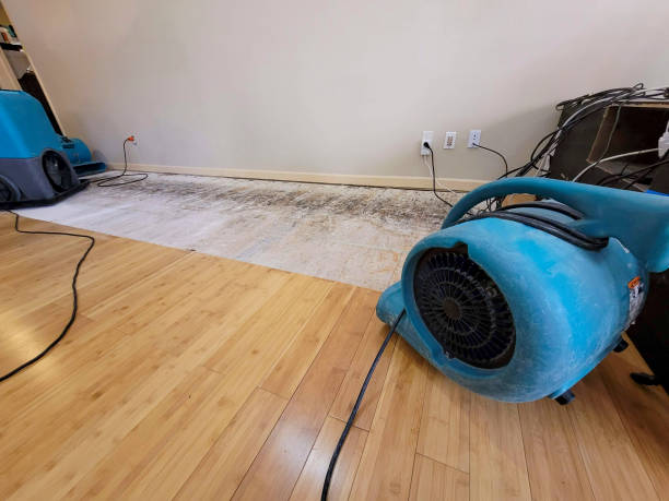 Professional Structural Drying technician working in Valparaiso, IN